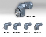WF series parallel shaft helical geared motor
