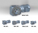 WK series helical-bevel geared motor