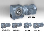 WS series helical-worm geared motor